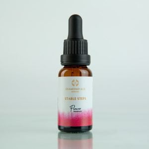 15 ml dropper bottle of flower essence called stable steps which helps us to be free from the fear of change and to move with stable steps into a new way of being.