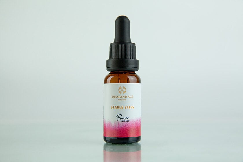 15 ml dropper bottle of flower essence called stable steps which helps us to be free from the fear of change and to move with stable steps into a new way of being.