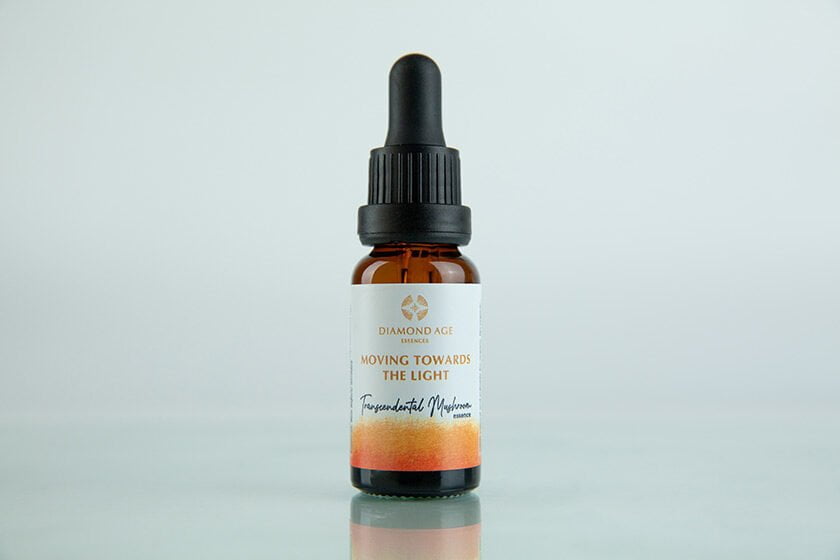 15 ml dropper bottle of mushroom essence called moving towards the light which helps us to release into the light the unfulfilled desires and the past and stay connected with the fresh needs of the present moment