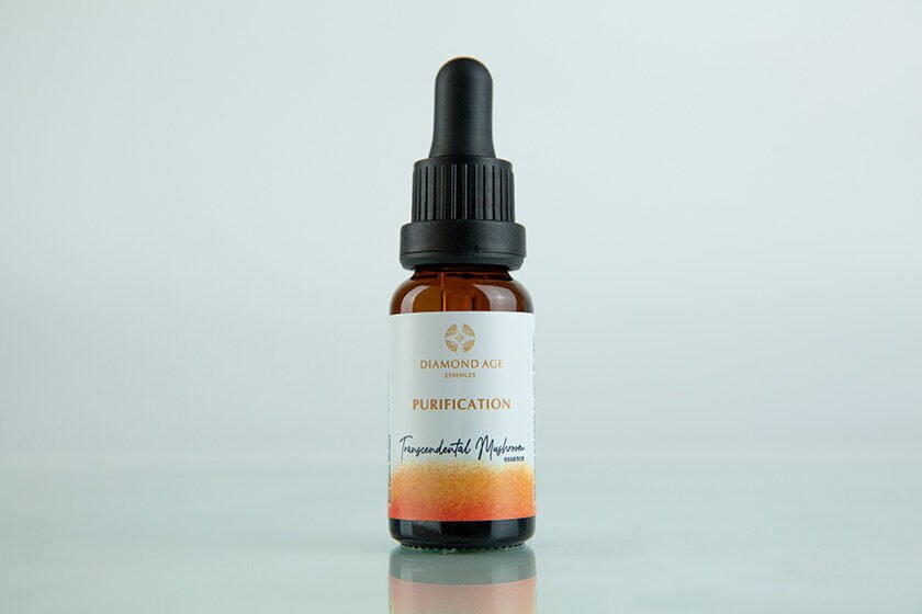 15 ml dropper bottle of mushroom essence called purification which helps us to purify our being and stay fresh and pure into our life.