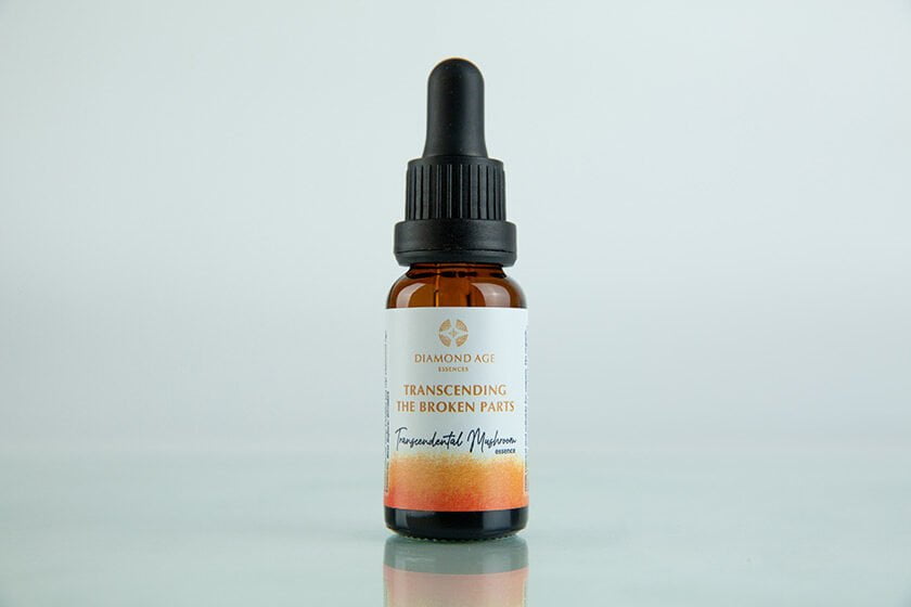15 ml dropper bottle of mushroom essence called transcending the broken parts which helps us to transcend our broken parts and relate with life from the purity of our real self.