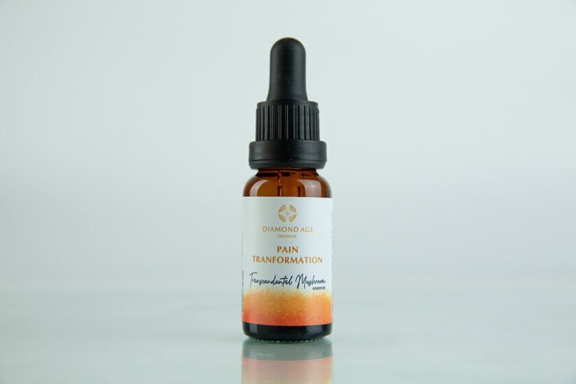 15 ml dropper bottle of mushroom essence called pain transformation which helps us to heal and transform our inner emotional pain.