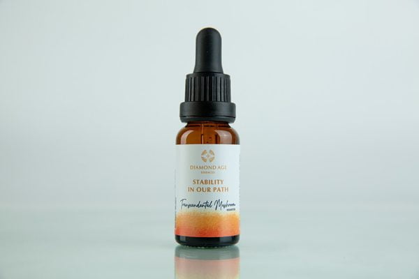 15 ml dropper bottle of mushroom essence called stability in our path which helps us be stable and determined into our path