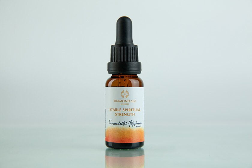 15 ml dropper bottle of mushroom essence called stable spiritual strength which helps us embrace our spiritual strength and be stable into it