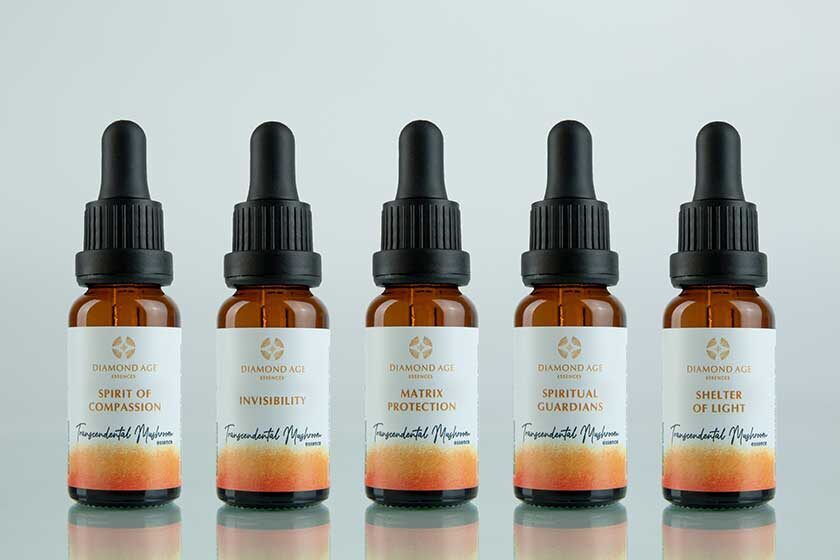 A kit of 5 mushroom essences called spiritual protection which helps us to be protected from negative spiritual influences