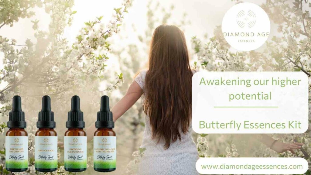 awakening our higher potential butterfly essences kit blog post