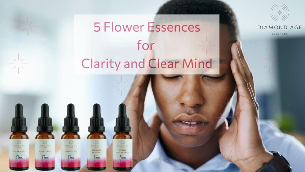 clarity and clear mind flower essences kit blog post