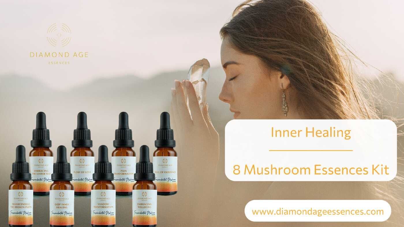 healing mushroom essences kit blog post