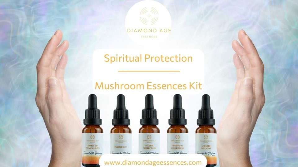 spiritual protection mushroom essences kit blog foto