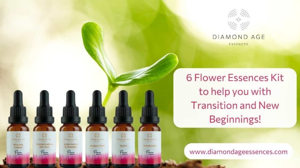 transition and new beginning flower essence kit blog foto