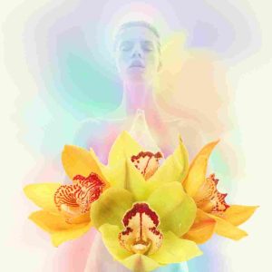 flower aura connected with human aura