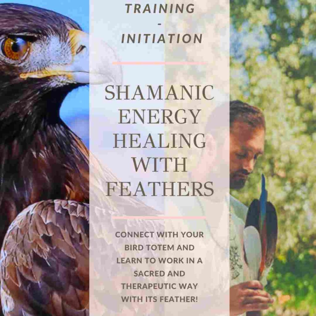 shamanic healing with feathers