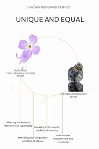unique and equal flower essence elements, energy of mathiola tricuspidata flower and energy of herkimmer diamond