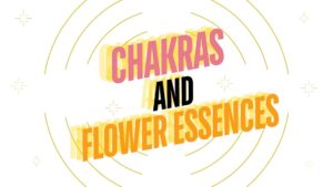 chakras and flower essences blog post foto